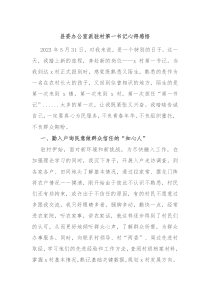 县委办公室派驻村第一书记心得感悟