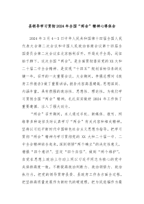 县领导学习贯彻2024年全国两会精神心得体会