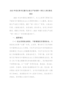 20XX年党支部书记履行全面从严治党第一责任人责任情况报告