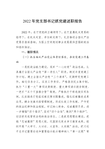20XX年党支部书记抓党建述职报告