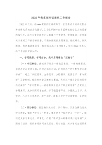20XX年党支部书记述职工作报告