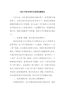 20XX年党支部书记述职述廉报告