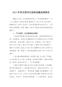 20XX年党支部书记述职述廉述德报告