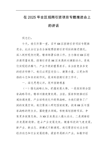 在2025年全区招商引资项目专题推进会上的讲话