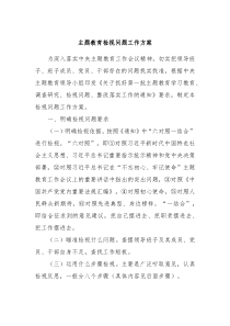 主题教育检视问题工作方案