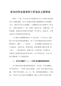 在2025年全县农村工作会议上的讲话