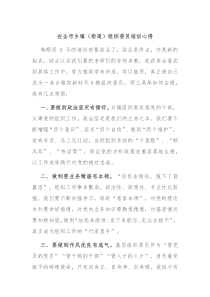 在全市乡镇街道组织委员培训心得