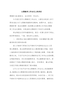 主题教育工作会议上的讲话
