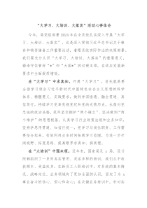 大学习大培训大落实活动心得体会