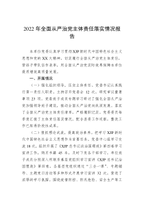 20XX年全面从严治党主体责任落实情况报告