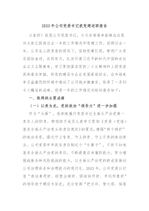 20XX年公司党委书记抓党建述职报告