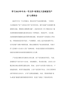 学习20XX年中央一号文件培育壮大县域富民产业心得体会