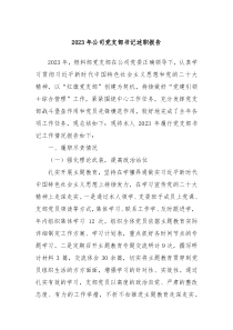 20XX年公司党支部书记述职报告