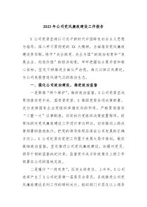 20XX年公司党风廉政建设工作报告