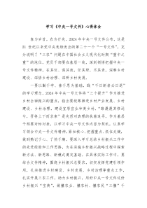 学习中央一号文件心得体会