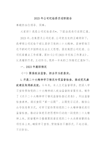20XX年公司纪检委员述职报告