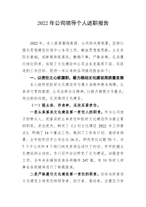 20XX年公司领导个人述职报告