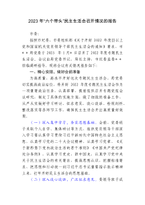 20XX年六个带头民主生活会召开情况的报告
