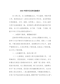 20XX年副书记述责述廉报告