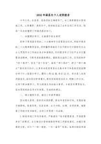 20XX年副县长个人述职报告