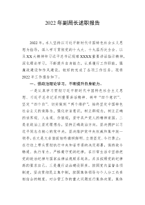 20XX年副局长述职报告