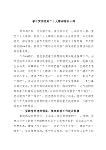 学习党的二十大精神培训心得
