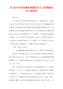 在2025年全市森林草原防灭火工作视频会议上的讲话