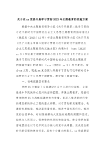 关于在xx党委开展学习贯彻20XX年主题教育的实施方案