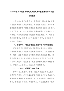 20XX年医院书记医药领域腐败问题集中整治廉洁个人自查自纠报告