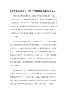 学习贯彻20XX年中央一号文件巩固拓展脱贫成果心得体会