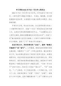 学习贯彻20XX年中央一号文件心得体会