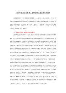 20XX年县总工会负责人述学述职述廉述法工作报告2