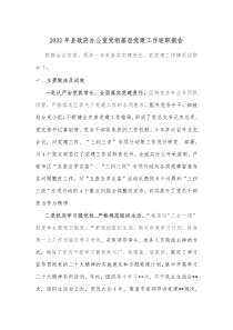 20XX年县政府办公室党组基层党建工作述职报告