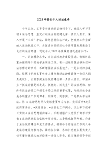 20XX年县长个人述法报告