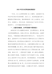 20XX年县长述职述廉述德报告