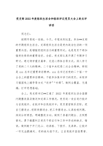 党支部20XX年度组织生活会和组织评议党员大会上的点评讲话