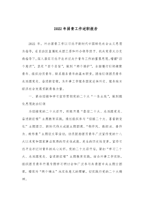 20XX年团青工作述职报告