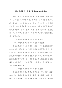 局长学习党的二十届三中全会精神心得体会