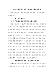 20XX年基层党支部书记抓基层党建述职报告