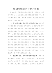 市应急管理局派驻村第一书记工作心得感悟
