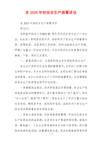 在2025年初安全生产部署讲话