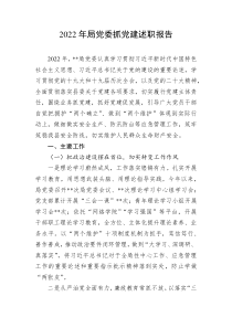 20XX年局党委抓党建述职报告