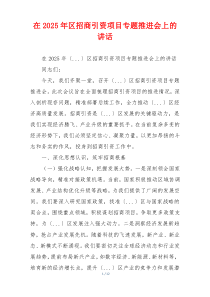 在2025年区招商引资项目专题推进会上的讲话