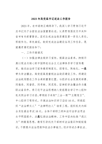 20XX年局党组书记述法工作报告