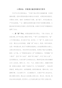 心得体会争做清正廉洁的新时代青年