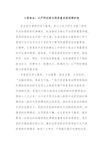 心得体会以严明纪律为高质量发展保障护航