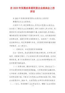 在2025年发展改革委民营企业座谈会上的讲话