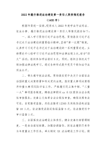 20XX年履行推进法治建设第一责任人职责情况报告