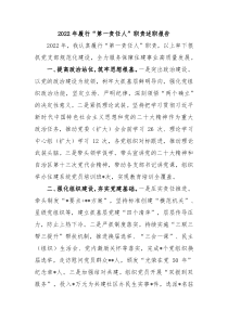 20XX年履行第一责任人职责述职报告