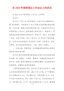 在2025年国资国企工作会议上的讲话